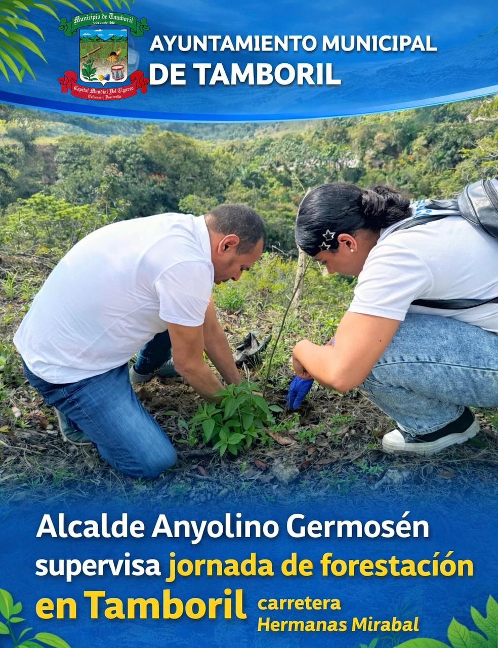 Estudiantes y Ayuntamiento unidos en jornada de forestación por un Tamboril más verde.
