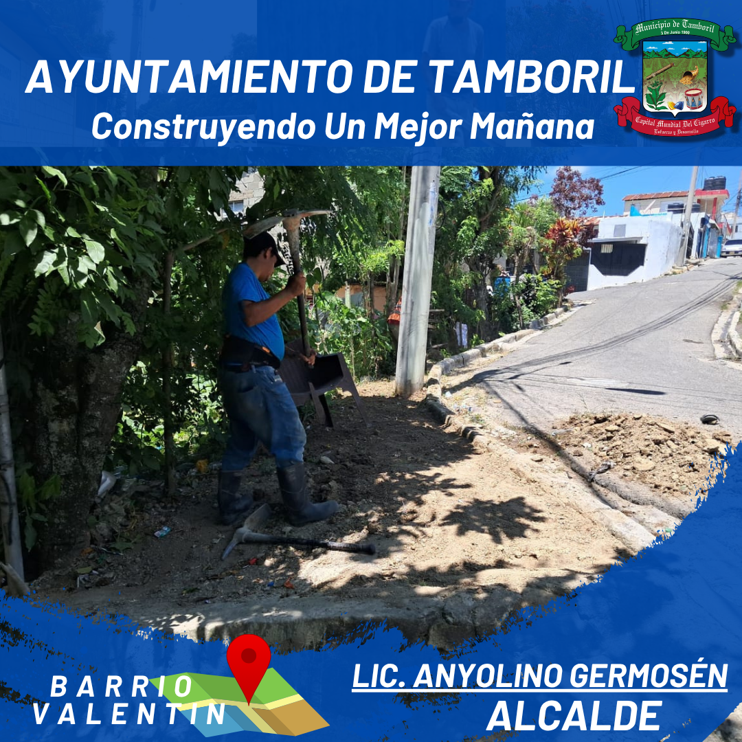 Reconstrucción de aceras y contenes.